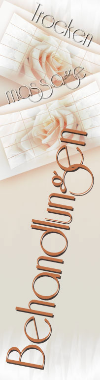 Bindegewebe Kreislauf Stoffwechsel Übergewicht Ausschwemmung Giftstoffe Trockenmassage